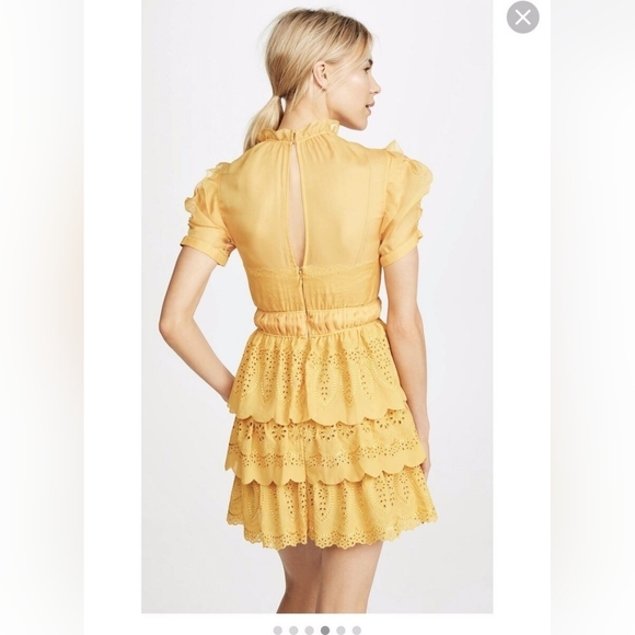 Self-Portrait NWOT Embroidered Chiffon Tiered Mini Dress In Gold Yellow Size 4 - Picture 4 of 16